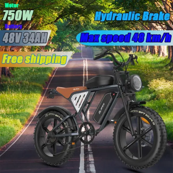 JANSNO X70G Electric Bike 750W Motor 48V 34AH Dual Lithium Battery Electric Bicycle Adult 20*4 Inch Fat Tire Snow Mountain EBike