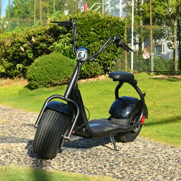 Electric Scooter for Adults 2000W Motor Fat Tire Citycoco Scooters Up to 40KM/H Scooter with Front & Rear Hydraulic Brakes