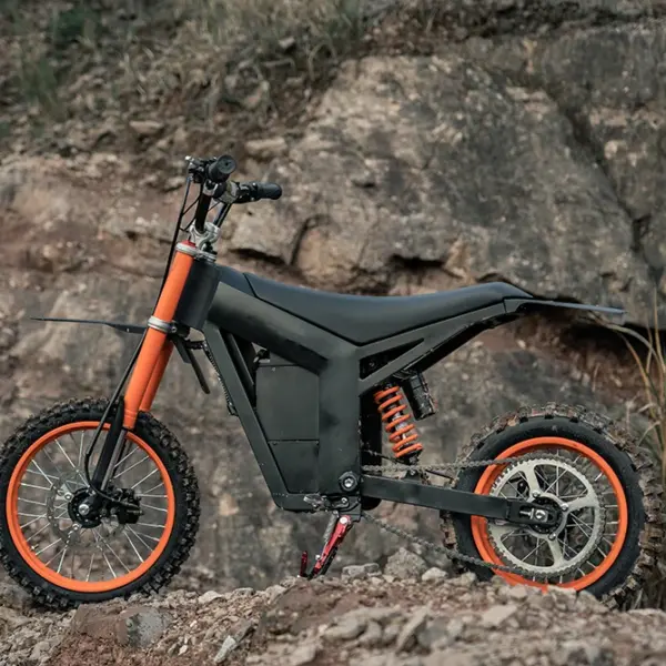 New Seasonal Arrivals Fat Tire Wholesale Electric City Bike Factory Ebike E Bike Electric Bicycle Old 2000w 3000w