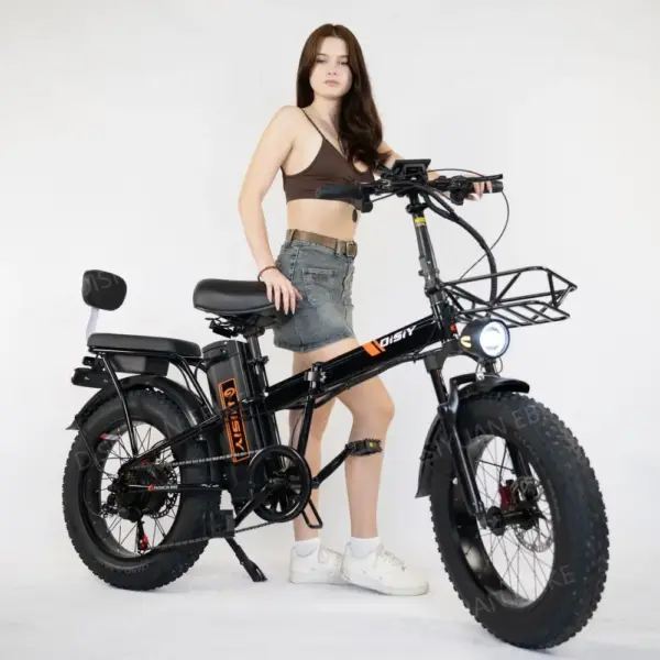 Electric Folding Bike Mtb 20inch Wheel 500W Motor 48V 20AH Hydraulic Disc Brake Fat Electric Bicycle