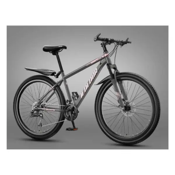 Bicycle adult mountain bike female teenager college student campus commuting transportation highway bike