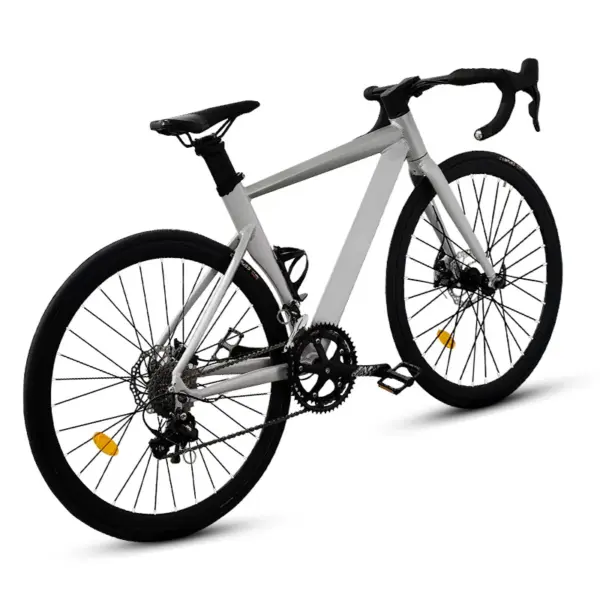 Hot Sale Road Bike 700C with Dual Disc/V Brakes, Adult Faster Racing Bike internal routing city bicycle