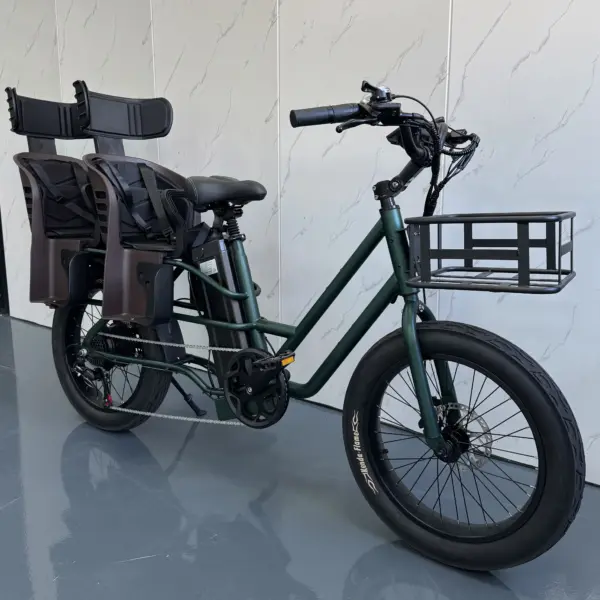 Cargo Bike Steel Frame 20*3.0inch Tires Long Tail Bicycle