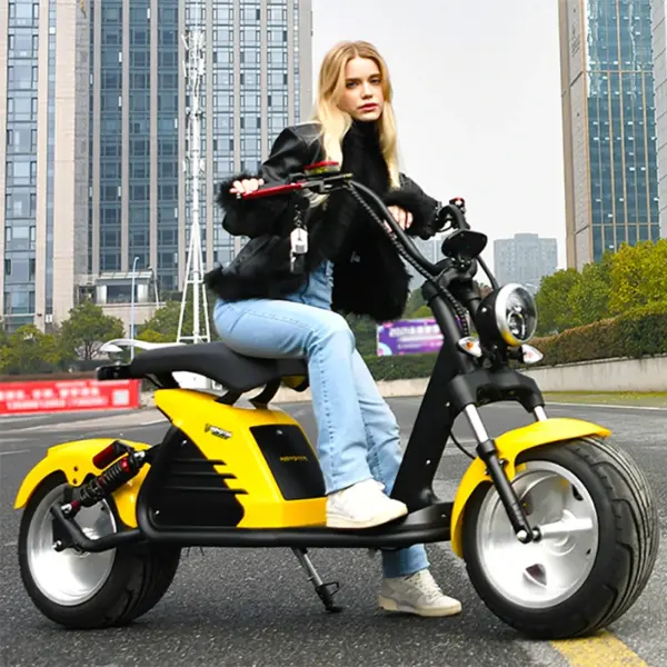 Max speed 70KM/H Flexible 4000W Strong Power Motor 2 Wheel Electric Scooter Electric Motorcycle Citycoco With 18 Inch Tire