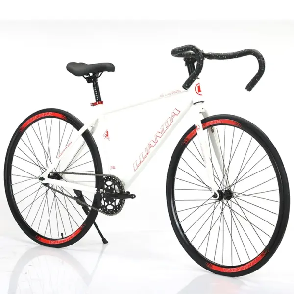 Beautiful Fixed Gear Bikes Nice Model Color 700C Fixie Bicycle Made in China Best Sell Fixie Roadbike 24inch 26inch
