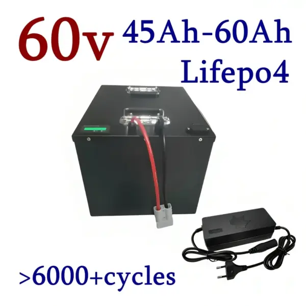 DS Lifepo4 60V 45Ah 50Ah 60Ah Lithium Battery for 3000W Mini Motorized 3wheel Adult Electric Tricycle Covered Mobility Scooter