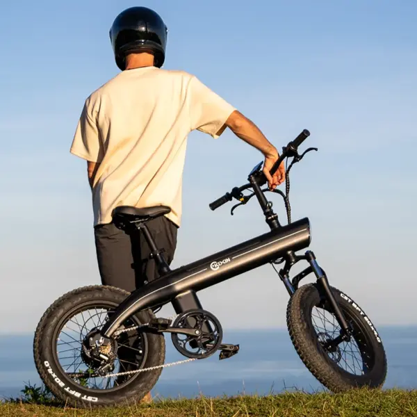 New Model Q3 Portable Electrically Road Bike Electric extra Large 20 Inch Wheel Bicicleta Moto Cross Electric Bike Man