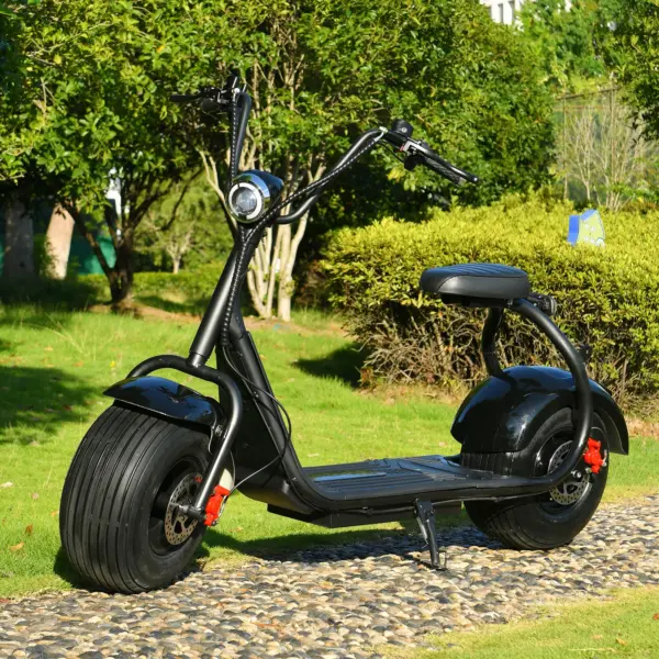 Mini Black Fat Tyre Electric Citycoco Scooter 60V12AH Motorbike E scooter 2000W Commuter electric scooter