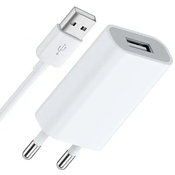 EU Plug USB Wall Charger Power Adapter 5V 1A Single USB Port Quick Charger For Phone 6 6S 7 8 Plus X XR XS 11 Pro Max 5S SE